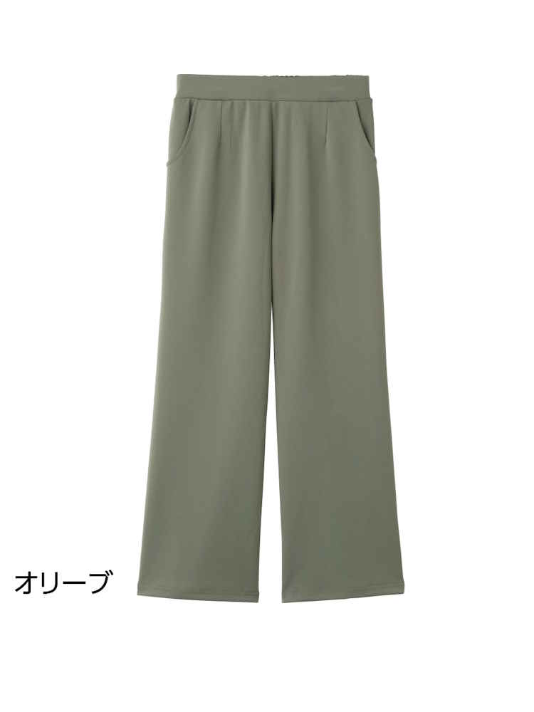 【股下64cm】【名前記入欄付】柔らかハイテンションワイドパンツ／婦人用／レディース／シニア／高齢者／両脇ポケット／後ろゴム／M,L,LL,3L【CF】