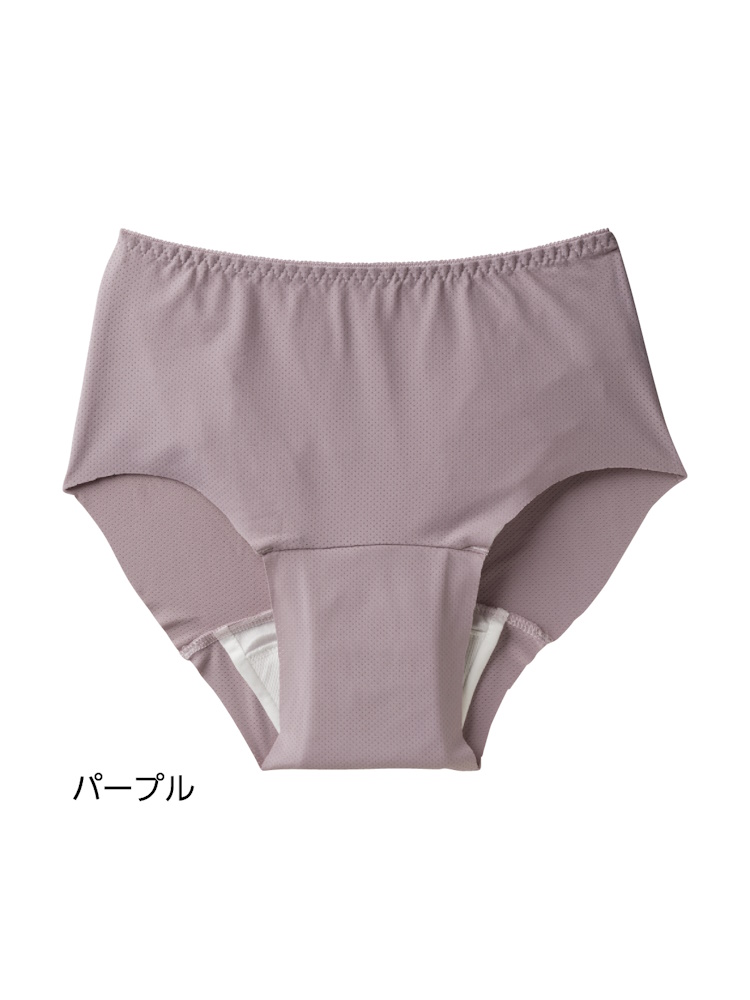 ボトムがスルッと履ける安心快適ショーツ吸水量20cc／婦人用／レディース／吸水ショーツ／尿漏れ／失禁／介護／シニア／施設／メッシュ素材／通気性【CF】